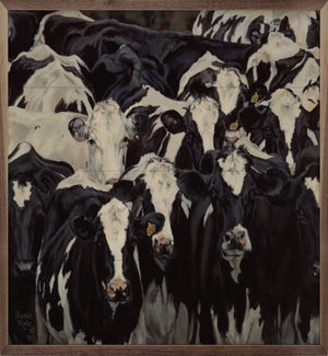 Cow Crowd By Bonnie Mohr
